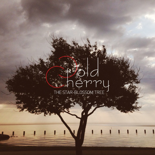 별이 열리는 나무 (The Star-Blossom Tree)