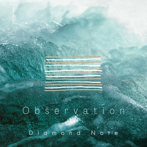 Observation