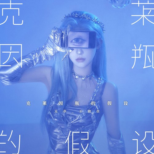 克莱因瓶的假设