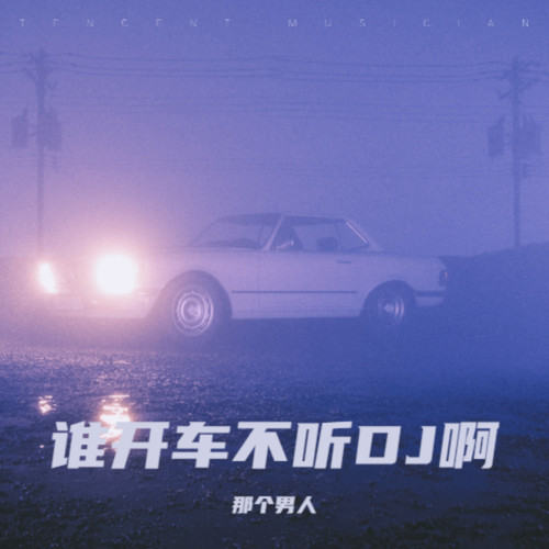 谁开车不听DJ啊