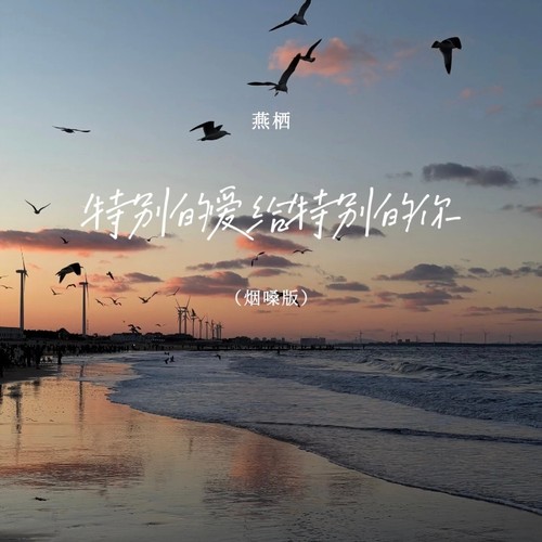 特别的爱给特别的你（烟嗓版）