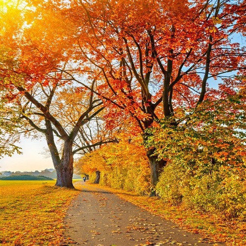 让爱飘进梦乡海燕vs糊歌