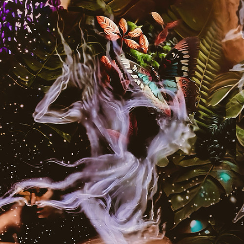 ¡HEY! (Escucha a los pájaros)