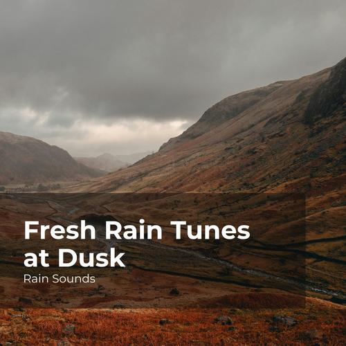Fresh Rain Tunes at Dusk