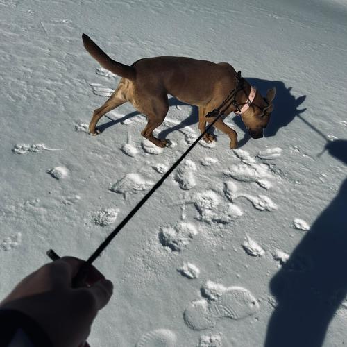 Campaign '26 (feat. Aski1k) [Explicit]