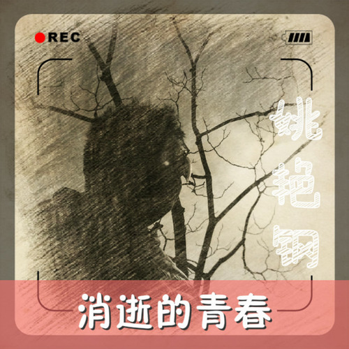 消逝青春