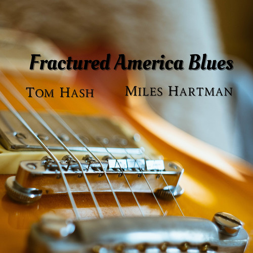 Fractured America Blues