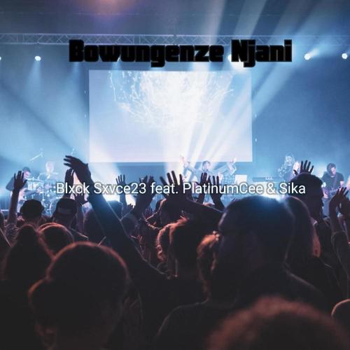 Bowungenze Njani (feat. PlatinumCee & Sika) [Explicit]