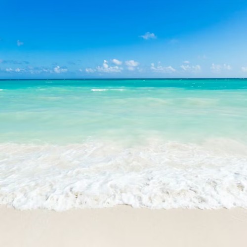 自然之声|舒缓解压|高清无杂