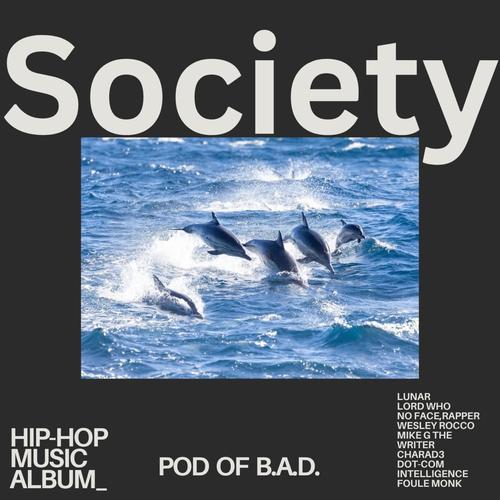 POD OF B.A.D (Explicit)
