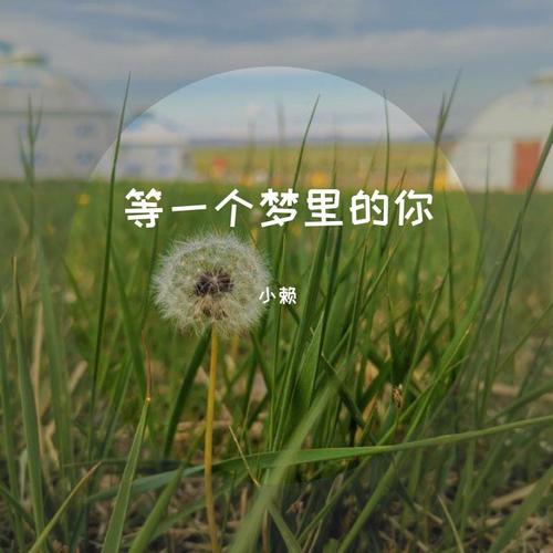 等一个梦里的你