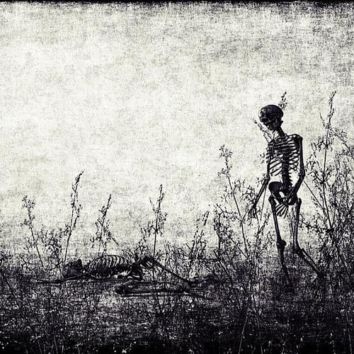 Skulls & Bones (Explicit)