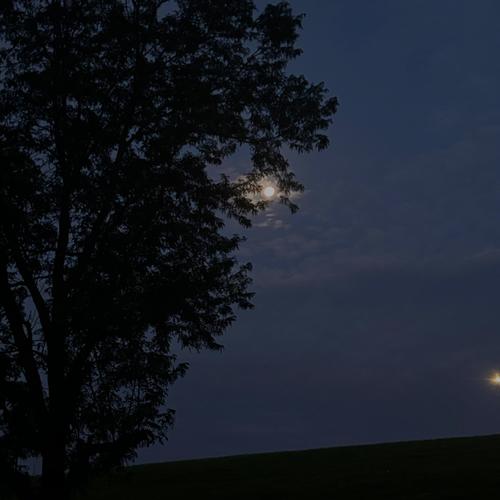 Watch the moon (Explicit)