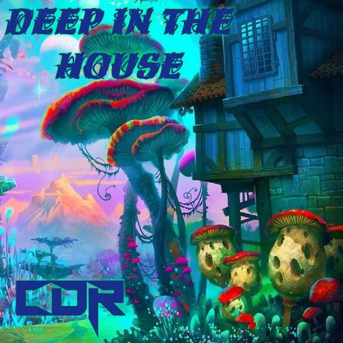 Deep In The House