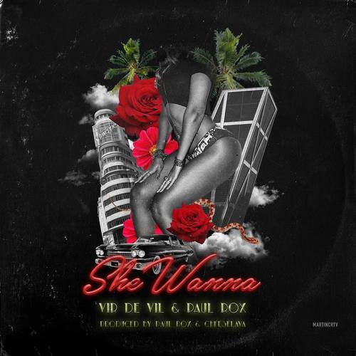 She Wanna (feat. Vir de Vil)