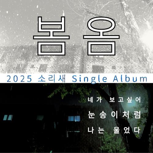 봄옴 (네가 보고싶어 눈송이처럼 나는 울었다)