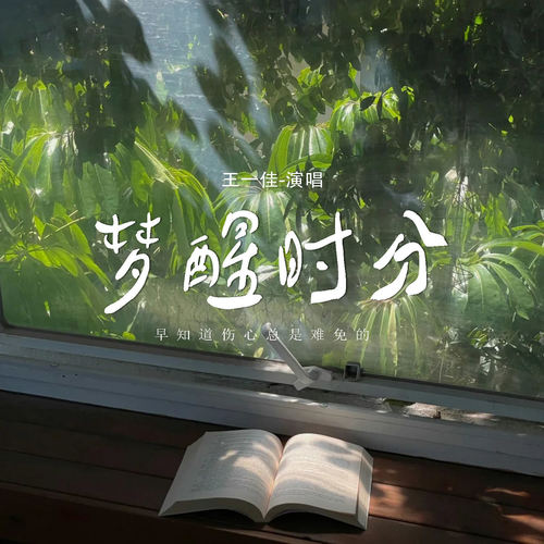 梦醒时分 (早知道伤心总是难免的)