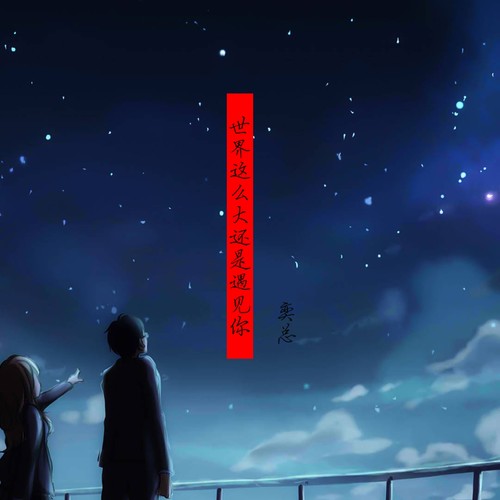 世界这么大还是遇见你（抖音版）