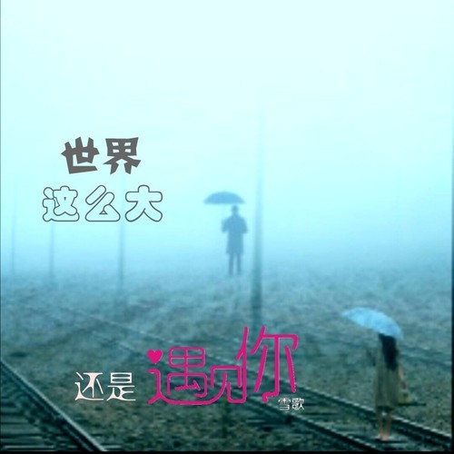 世界这么大还是遇见你