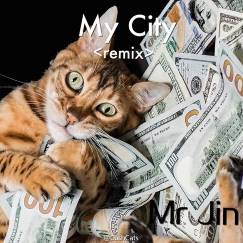 My city (我的城市)