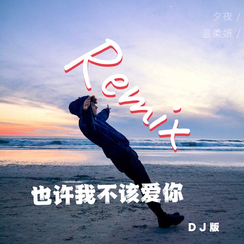 也许我不该爱你DJ版