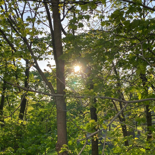 Swordfish (remix) [Explicit]