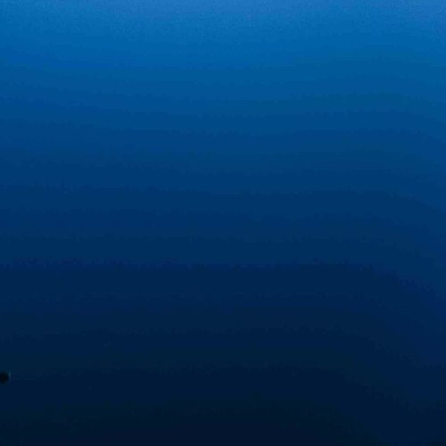 纯音乐2恐怖不安