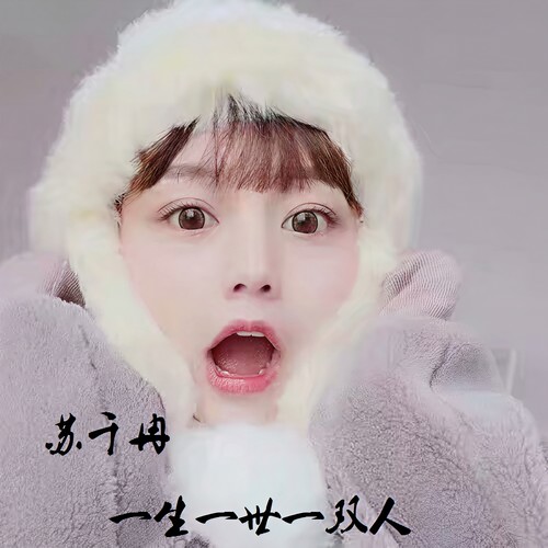 一生一世一双人