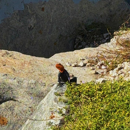 OJOS FERRARI (RAFAELA Remix) [Explicit]