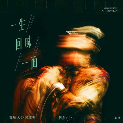 一生回味一面 (我坠入爱河那天)