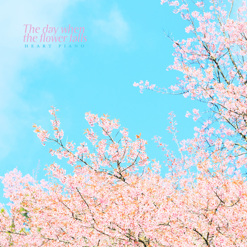 꽃비 내리는 날 (下花雨的日子)