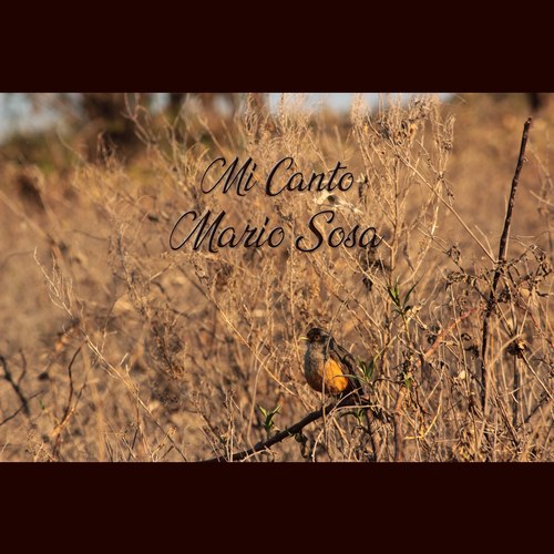 Mi Canto