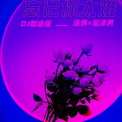 忘记你太难(DJ默涵版)