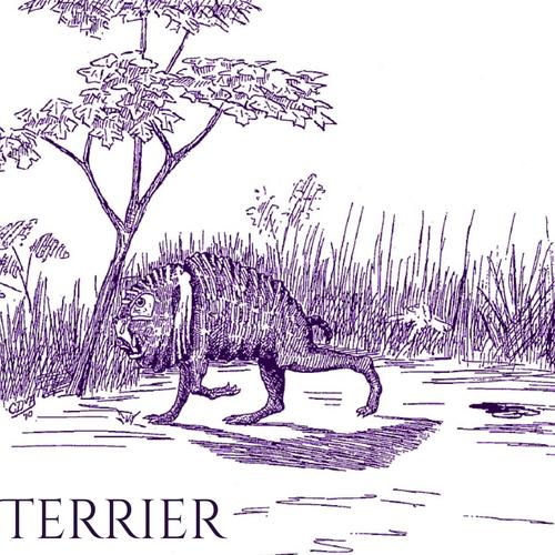 TERRIER