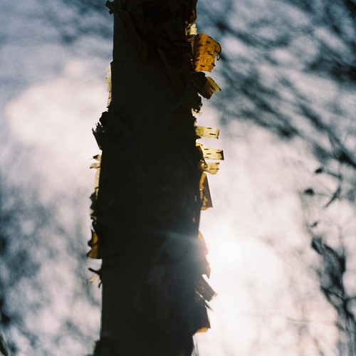 独处才是一个人真正的快乐