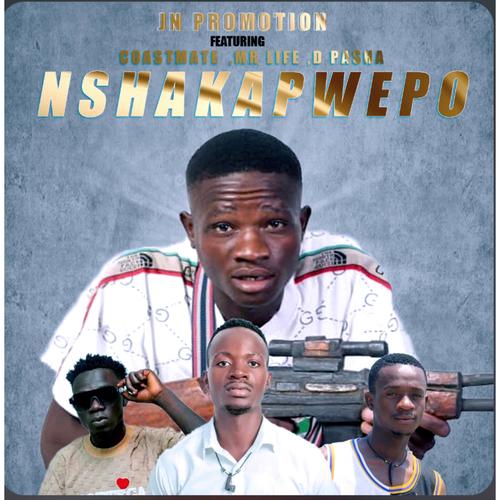 Nshakapwepo (feat. Cosmate x Mr life & D pasha) [Explicit]