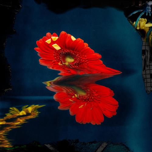 aftertaste (Explicit)