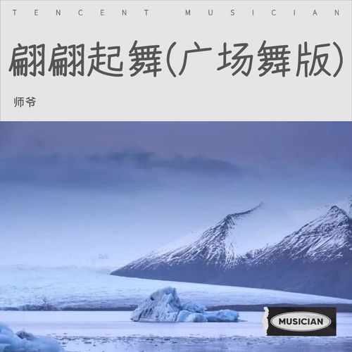 翩翩起舞 (广场舞版)