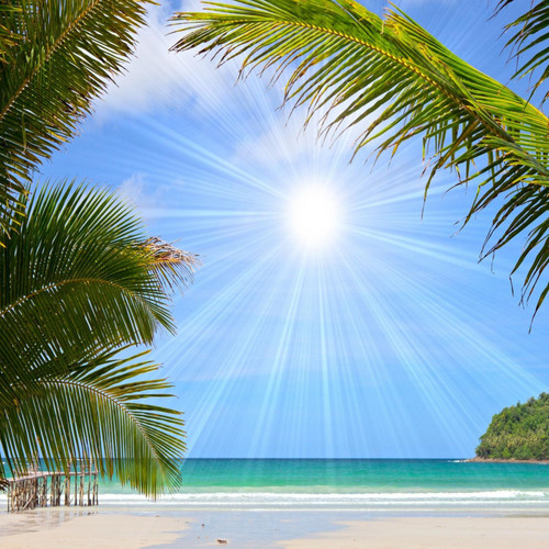 Paradise