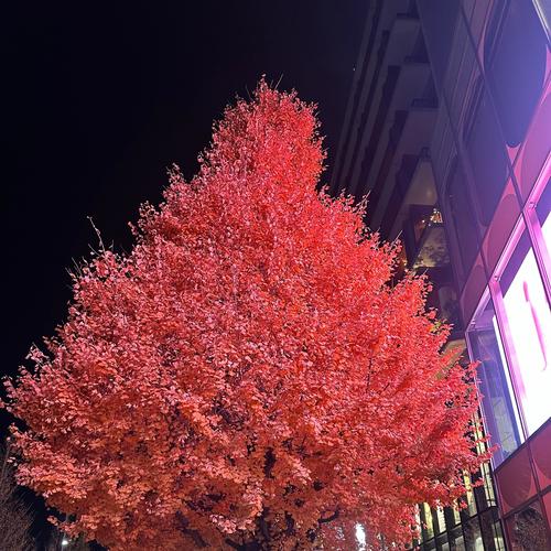 Who gonna love us (feat. Recrafted, Grailed! & Lzothy) [Explicit]