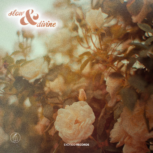 Slow.&.Divine