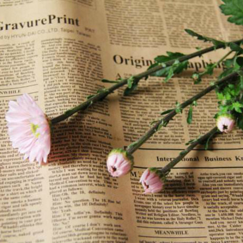 我的情深你若懂