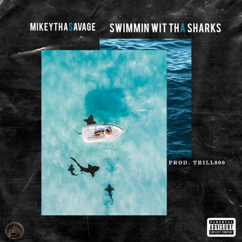 Swimmin wit tha $harks (Explicit)