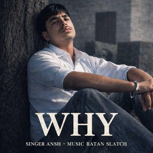 WHY (feat. SLATCH R)