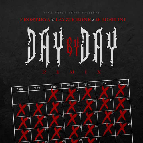 Day by Day (Radio Remix)