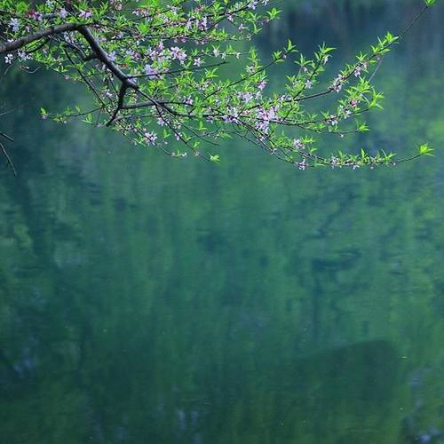 青玉案·凌波不过横塘路