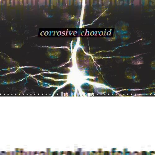 Culturalproductsofchaos // Corrosive Choroid