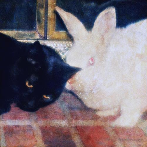 dntcallme (on hold) [Explicit]