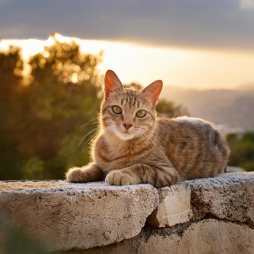 The Start Of Something