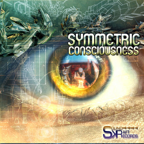Symmetric Consciousness